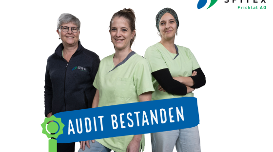 Audit bestanden