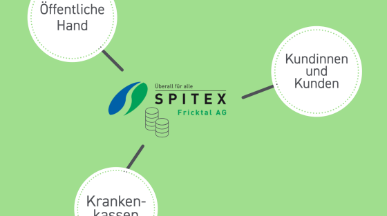 Finanzierung der Pflegeleistungen der Spitex